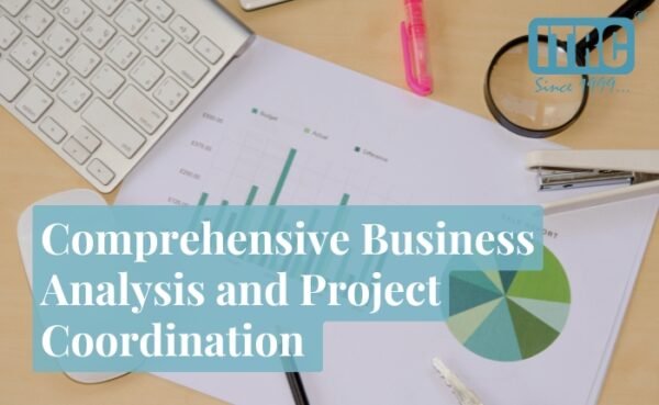 Comprehensive Business Analysis and Project Coordination