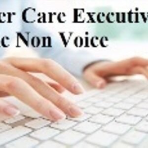 Customer Care Executive- Domestic Non Voice