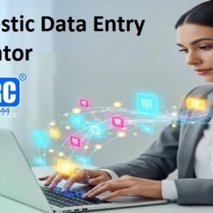 Domestic Data Entry Operator
