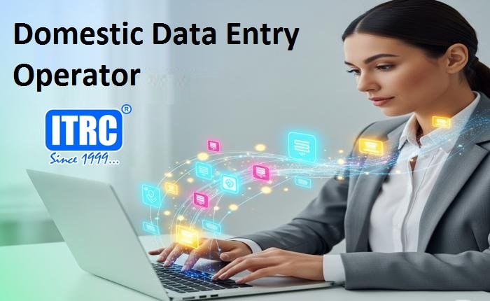 Domestic Data Entry Operator